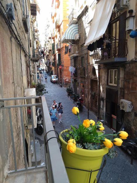 La Conchiglia Napoli Appartement Buitenkant foto