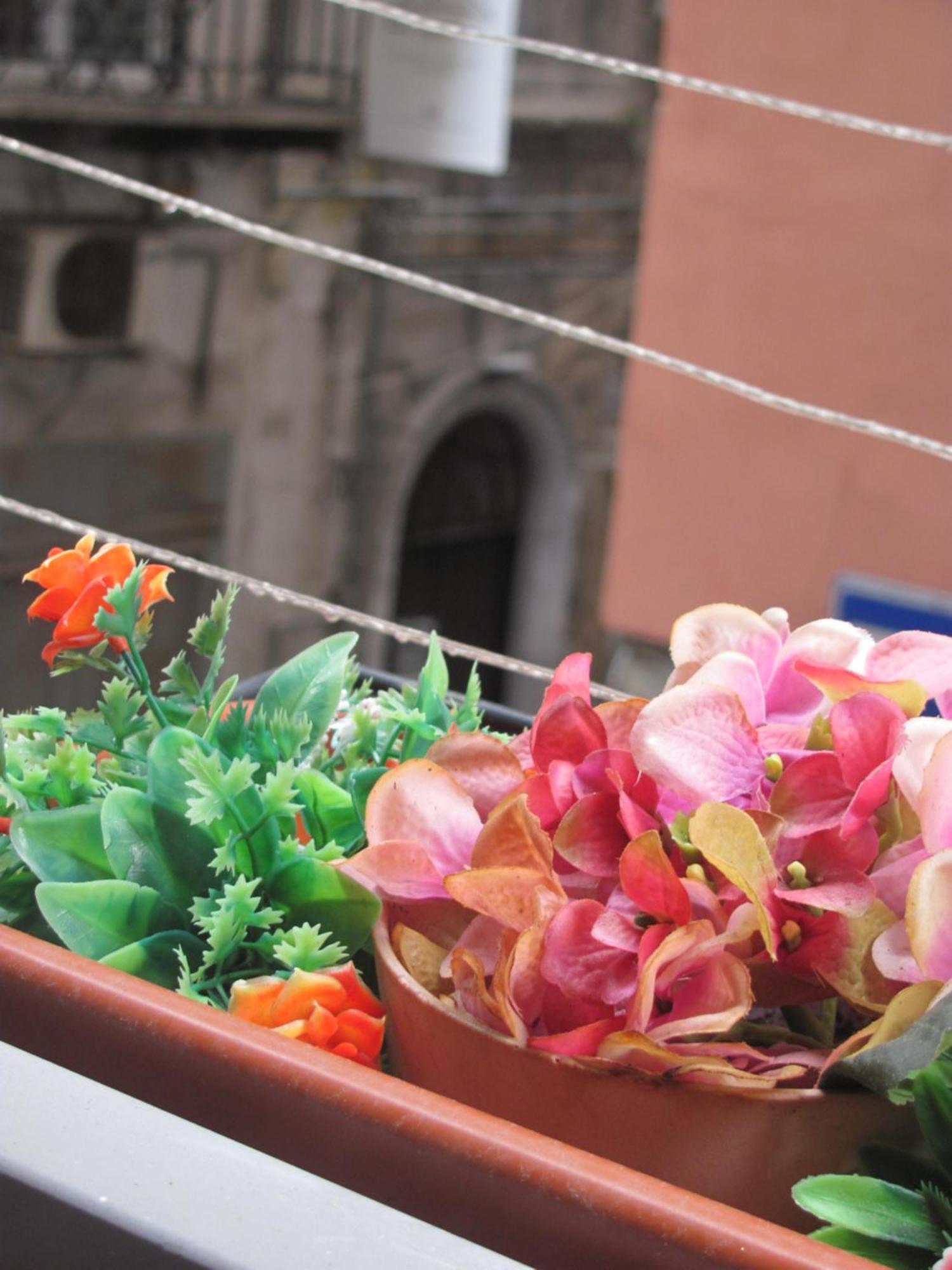 La Conchiglia Napoli Appartement Buitenkant foto